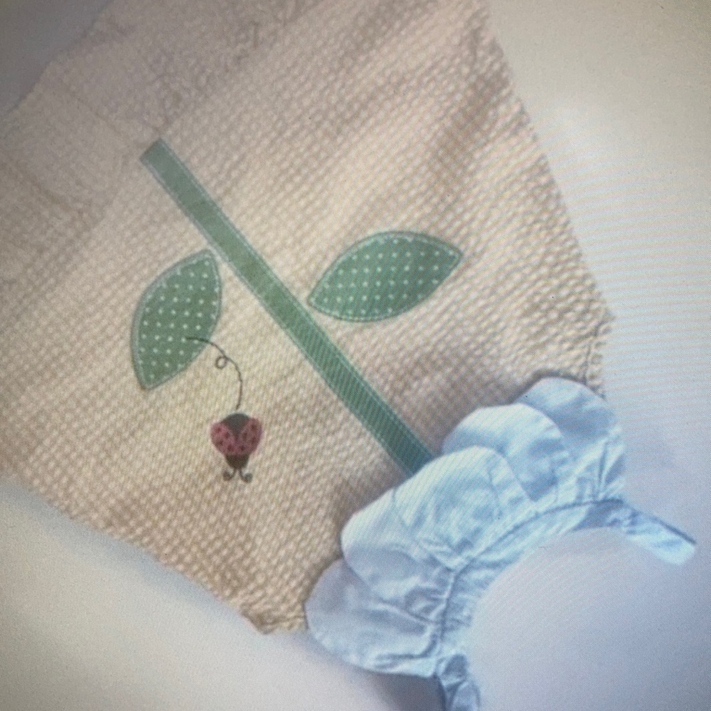 Ladybug gingham plaid sleeveless girls formal dress